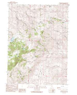 Duffer Peak USGS topographic map 41118f6