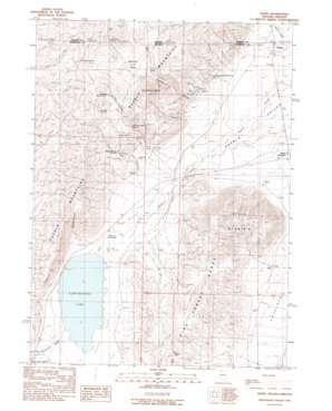 Denio USGS topographic map 41118h6