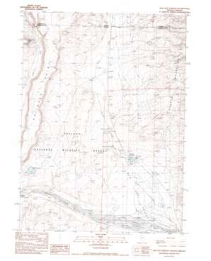 Bog Hot Springs USGS topographic map 41118h7