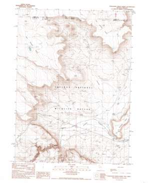 Thousand Creek Gorge USGS topographic map 41118h8