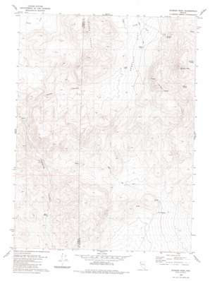 Division Peak USGS topographic map 41119a3