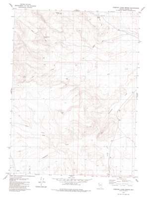 Chester Lyons Spring topo map