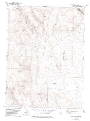 Nellie Spring Mountain USGS topographic map 41119d5