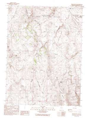 Bear Buttes topo map