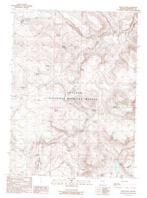 Alkali Peak USGS topographic map 41119f2