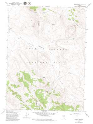 Blowout Mountain USGS topographic map 41119f3