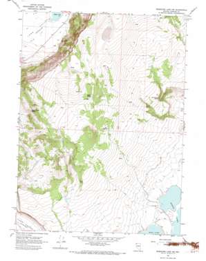 Massacre Lake Nw USGS topographic map 41119f6