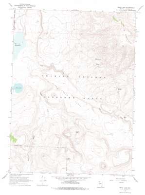 Swan Lake USGS topographic map 41119g4