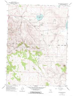 Bald Mountain USGS topographic map 41119g5