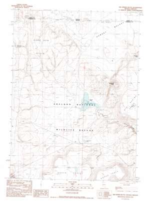 Big Spring Butte topo map