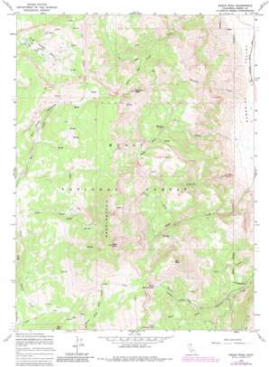 Eagle Peak USGS topographic map 41120c2