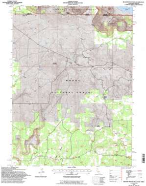 Beaver Mountain USGS topographic map 41120h6