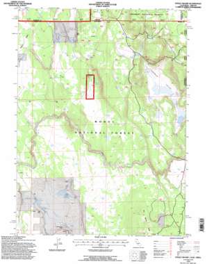Steele Swamp USGS topographic map 41120h8