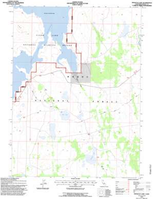 Pinnacle Lake USGS topographic map 41121g1