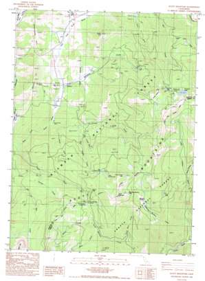 Scott Mountain USGS topographic map 41122c6