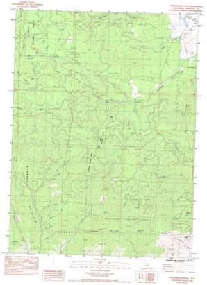 Cottonwood Peak USGS topographic map 41122h6