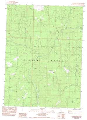 Buckhorn Bally USGS topographic map 41122h7