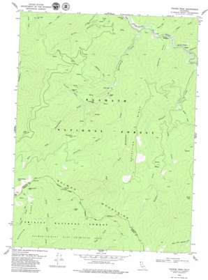Youngs Peak topo map