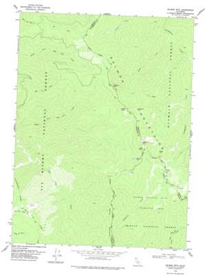 Salmon Mountain topo map