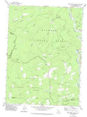 Dillon Mountain USGS topographic map 41123d5