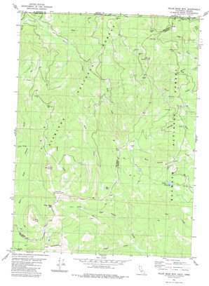 Polar Bear Mountain USGS topographic map 41123h5