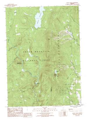 Mount Snow USGS topographic map 42072h8