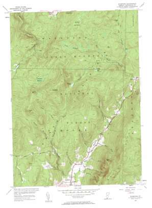 Stamford USGS topographic map 42073g1