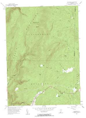 Woodford topo map