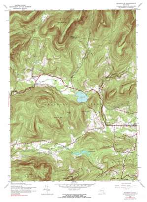 Bearsville USGS topographic map 42074a2