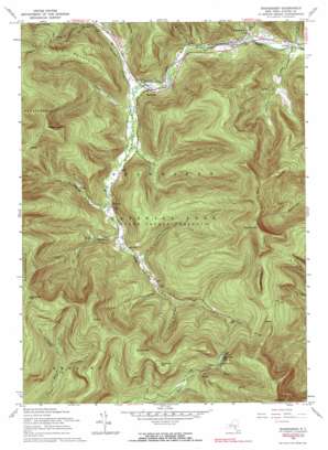 Shandaken USGS topographic map 42074a4
