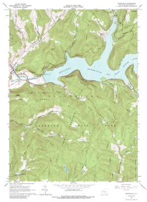 Downsville topo map