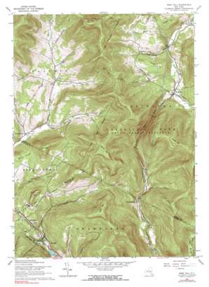 West Kill USGS topographic map 42074b4