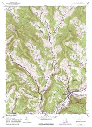 Margaretville USGS topographic map 42074b6