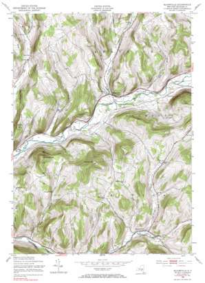 Bloomville USGS topographic map 42074c7
