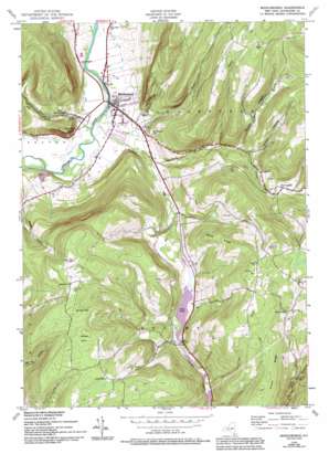 Middleburgh topo map