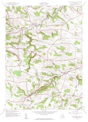 Van Hornesville topo map