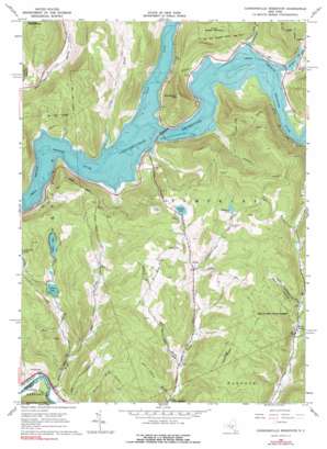Cannonsville Reservoir USGS topographic map 42075a3