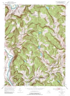 Gulf Summit USGS topographic map 42075a5