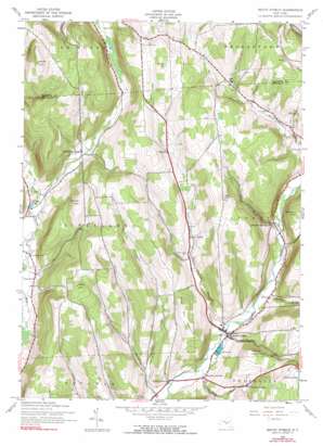 South Otselic USGS topographic map 42075f7