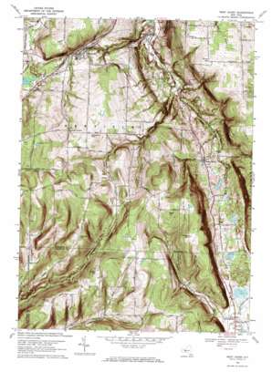 West Danby topo map