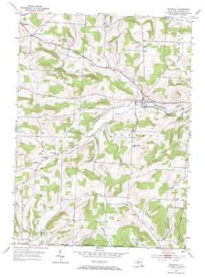 Woodhull USGS topographic map 42077a4