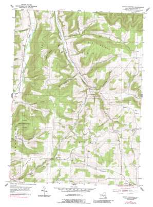 South Canisteo topo map