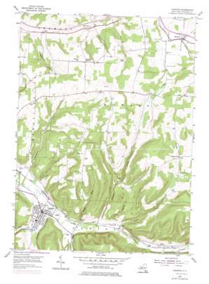 Canisteo topo map