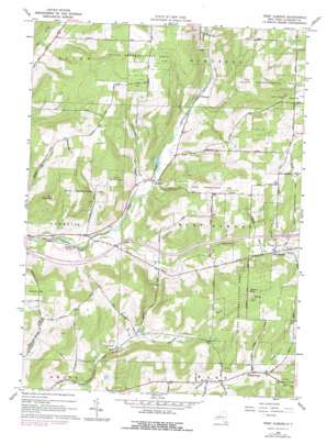 West Almond USGS topographic map 42077c8