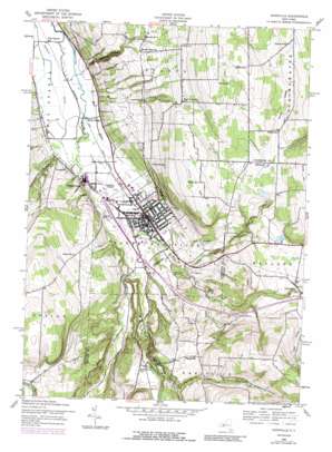 Dansville USGS topographic map 42077e6