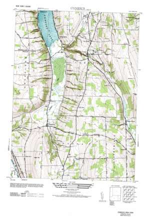 Conesus USGS topographic map 42077f6