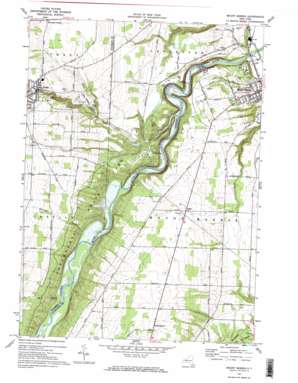 Mount Morris USGS topographic map 42077f8