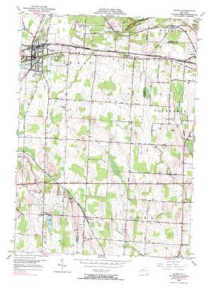 Le Roy USGS topographic map 42077h8
