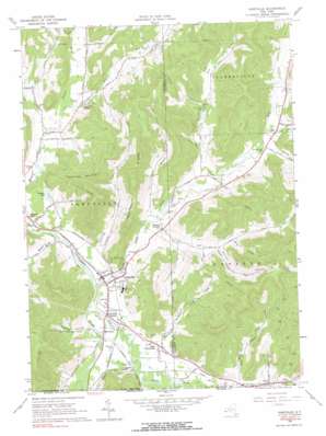 Portville USGS topographic map 42078a3