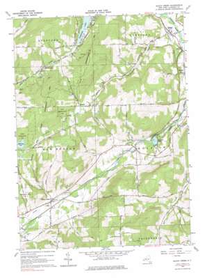 Black Creek USGS topographic map 42078c2